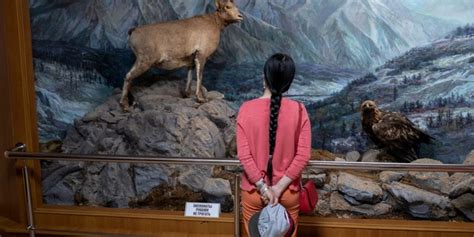 El Museo de la Madera de Yakutsk: Un Tesoro Esculpido en la Historia y la Cultura Siberiana!