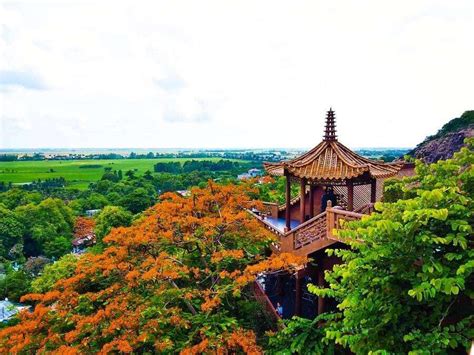 El Templo de la Pagoda de La Rosa: ¡Un refugio espiritual en medio del bullicio de An Giang!