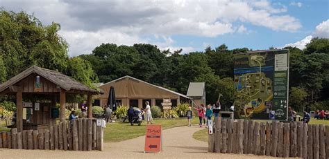  El Museo de la Vida Silvestre del Zoológico de Yorkshire: Un viaje salvaje por el reino animal